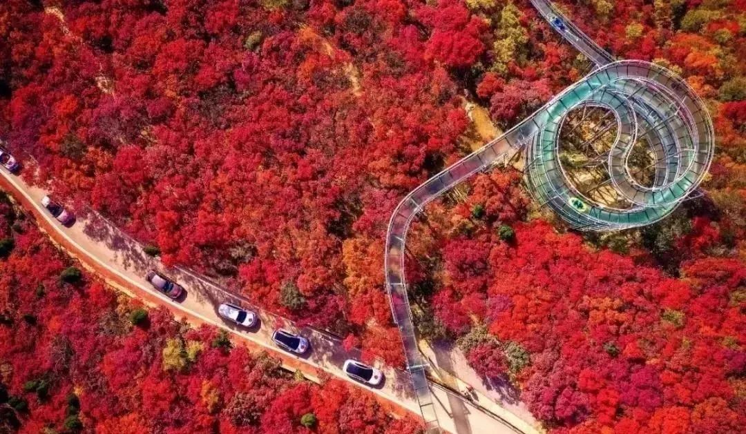 1678758400254591.jpg 山东淄博2.jpg