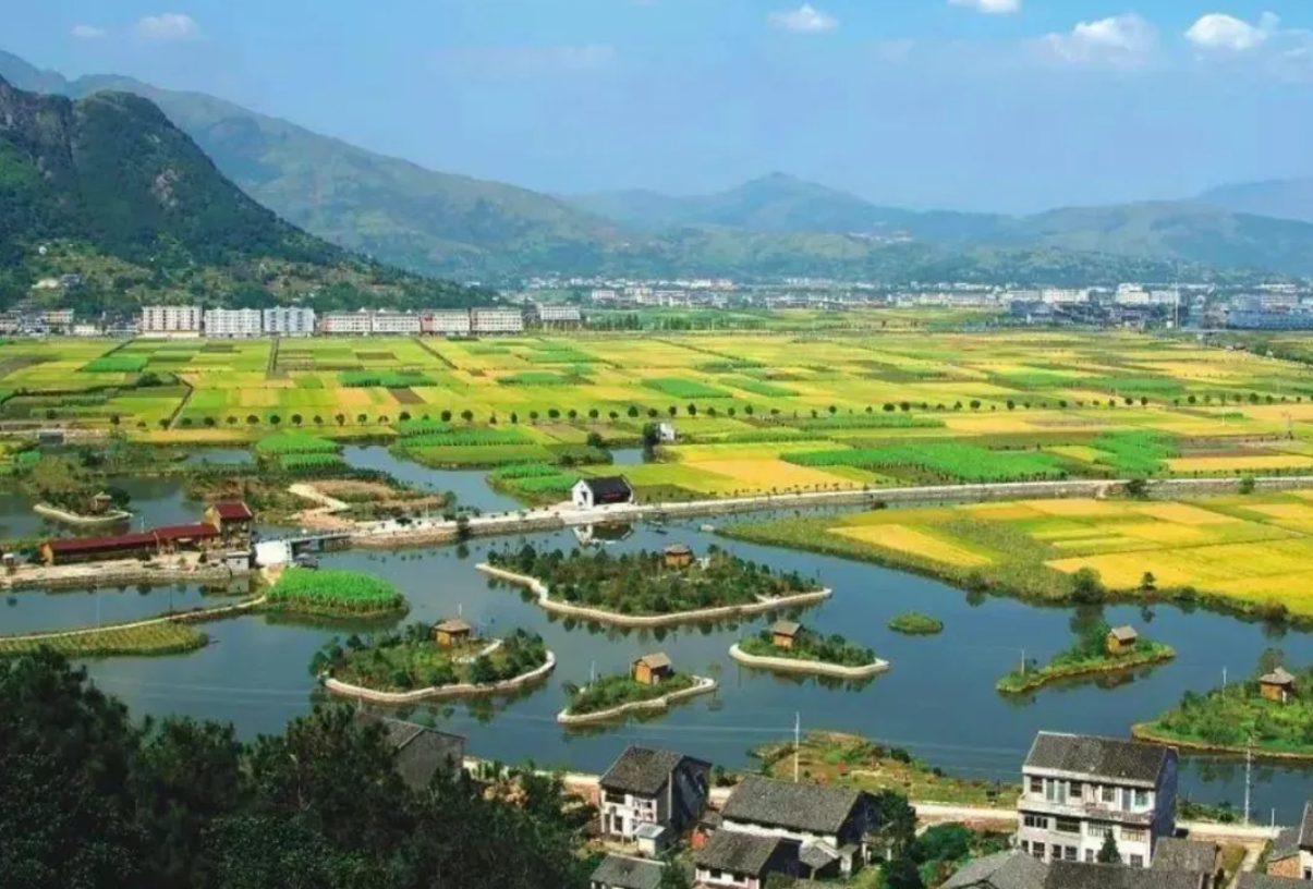 1721537097995335.png image.png