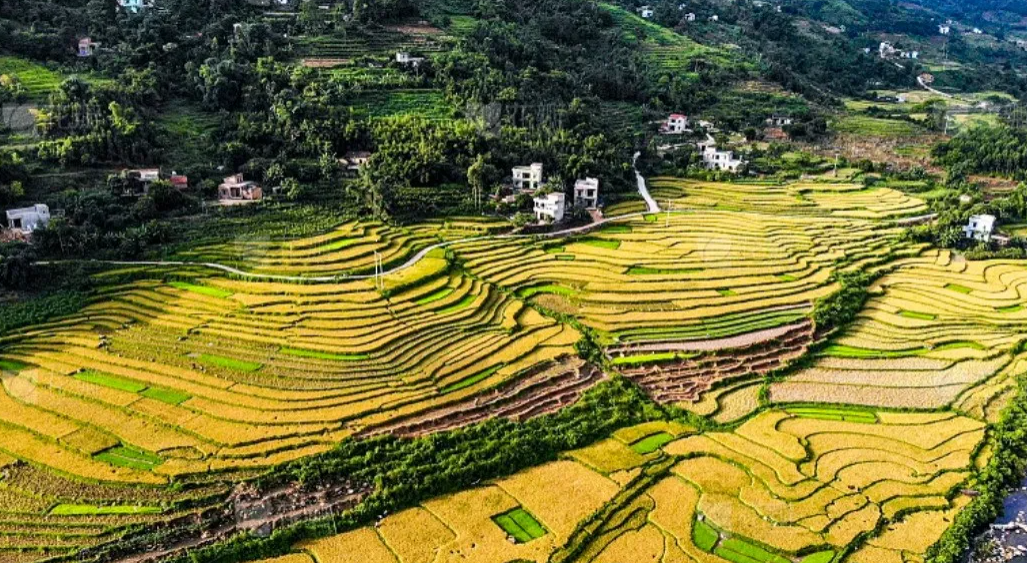 1721537128885616.png image.png