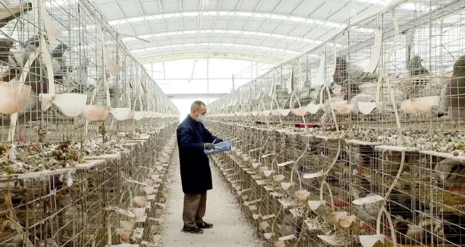 1735894377582181.png image.png