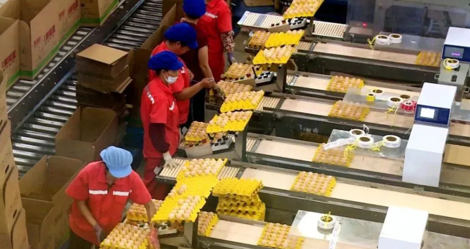 1735894429603571.png image.png