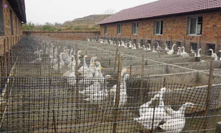 1736570790695456.png image.png