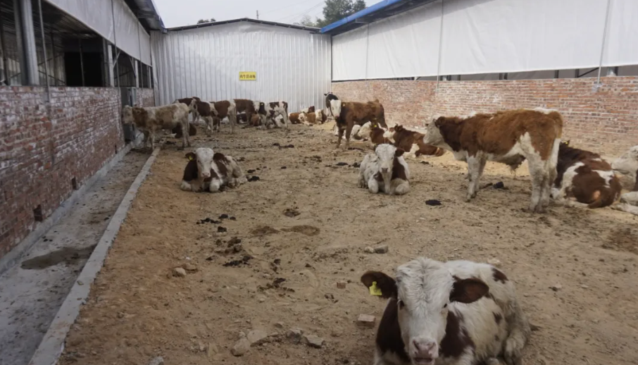 1736570933256561.png image.png