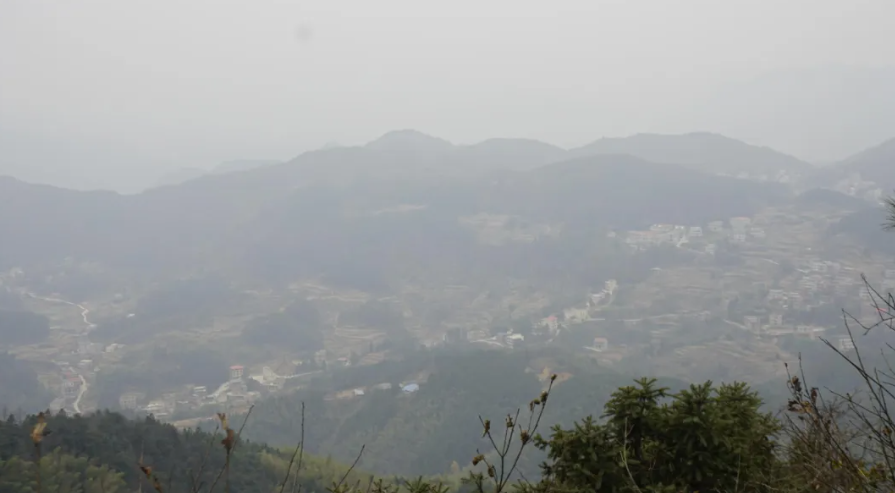 1736570969874051.png image.png