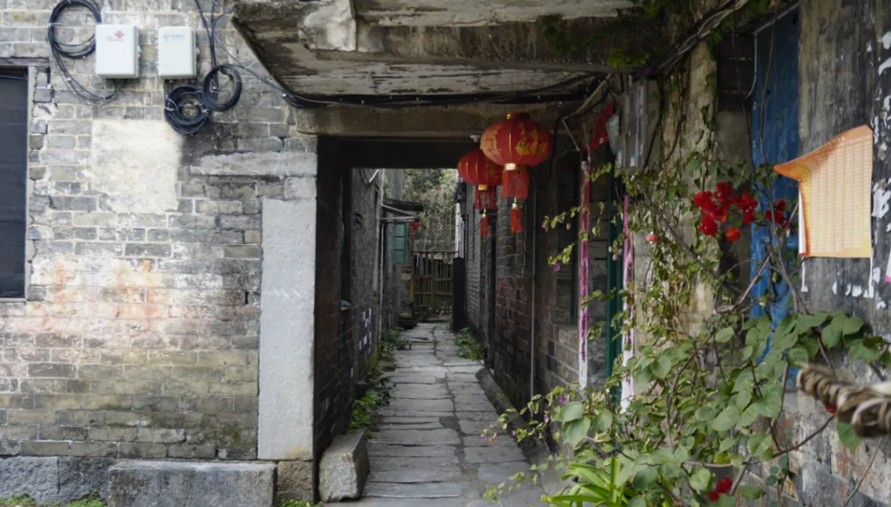 1737205752715789.png image.png