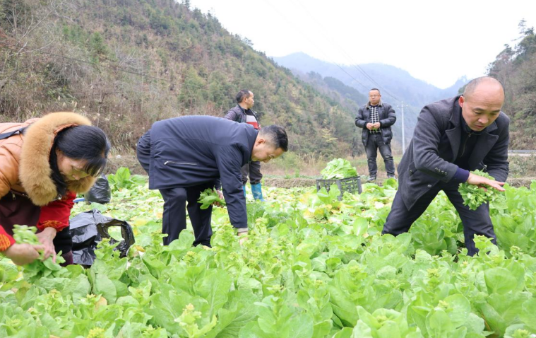 1744339653454888.png image.png